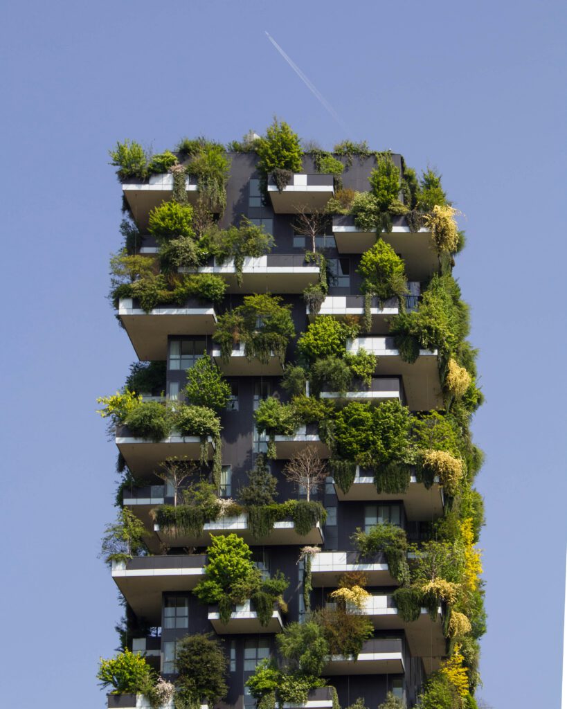 a flat with lots of greenery growing on it